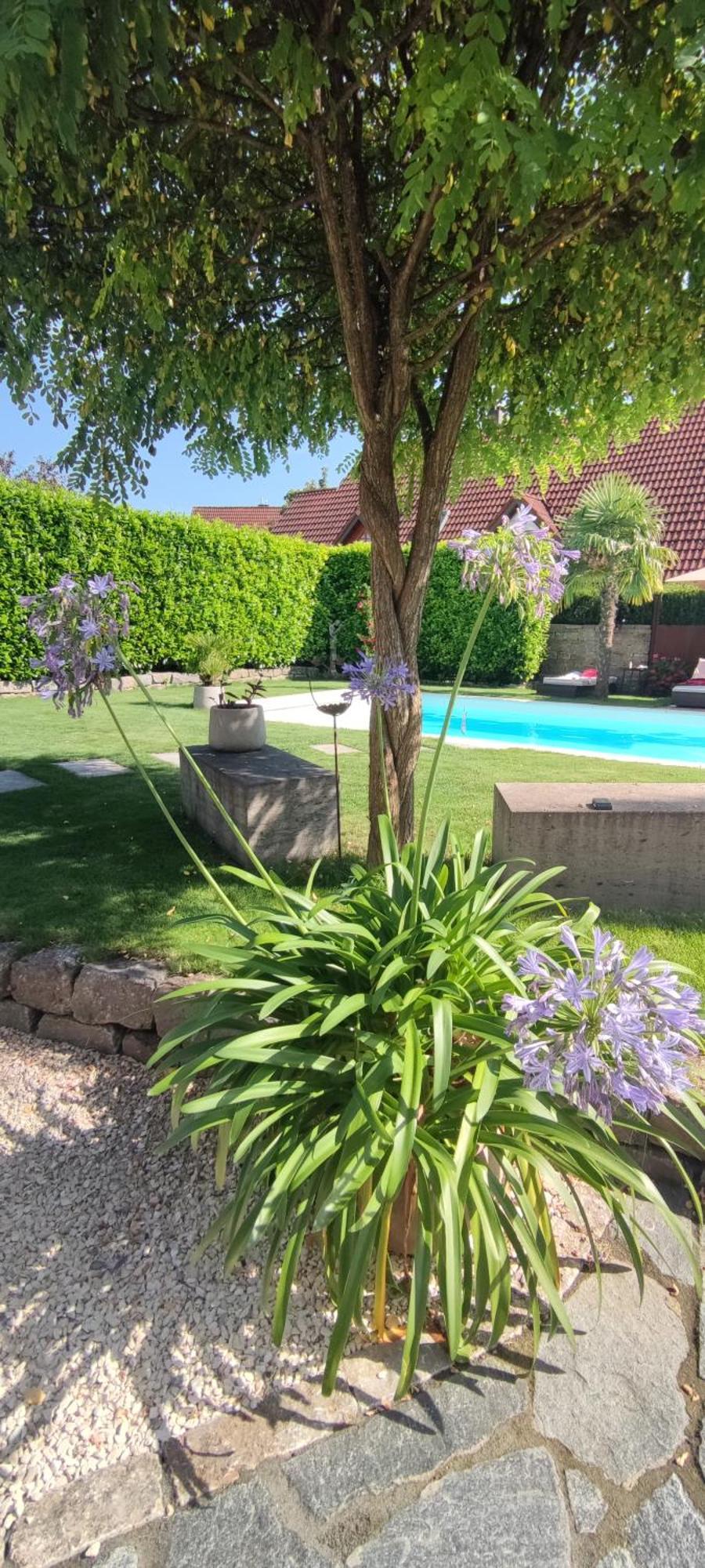 Appartamento Bel giardino FDH Esterno foto
