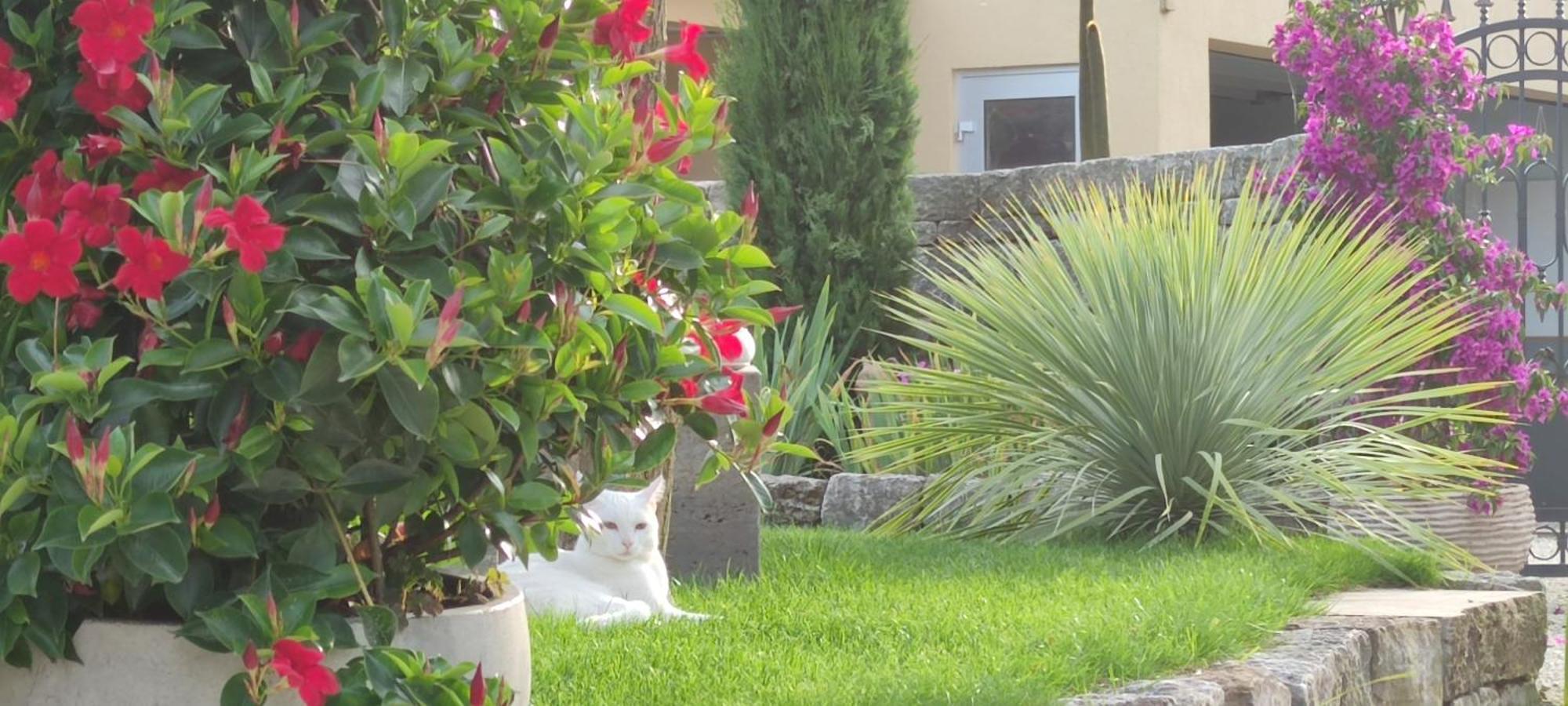 Appartamento Bel giardino FDH Esterno foto
